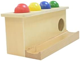 Montessori Wooden Push Ball Toy for Toddlers