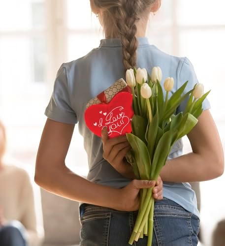 DolliBu I Love You Red Heart Plush Toy