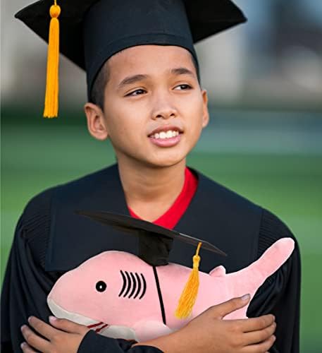 DolliBu Pink Shark Graduation Plush Toy - 12 Inches 1
