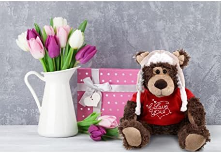 DolliBu I Love You Grizzly Bear Plush with Clothes