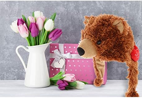 DolliBu I Love You Valentine Grizzly Bear Hat - 16 Inches