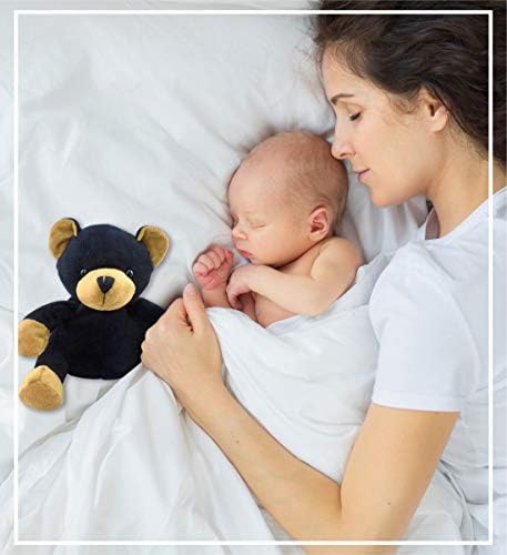 DolliBu Plush Black Bear - Soft Huggable 6 Inch Stuffed Animal