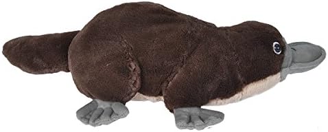 Wild Republic Platypus Plush 12 Inches Cuddlekins