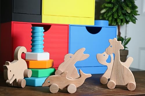 Handmade Wooden Rabbit Push Toy Personalized Gift