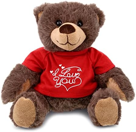 DolliBu I Love You Brown Bear Plush - 10 Inches 1