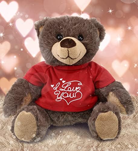 DolliBu I Love You Brown Bear Plush - 10 Inches 1