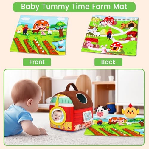 Montessori Barn Toy for Babies 6-12 Months