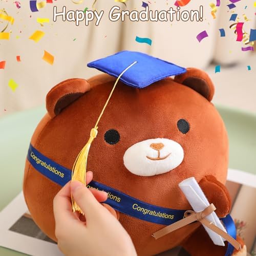 Brown Bear Plushie with Cap and Diploma 10 Inch