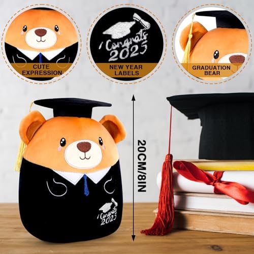 Graduation Bear Plush Pillow 8 Inch 2025 Class Gift