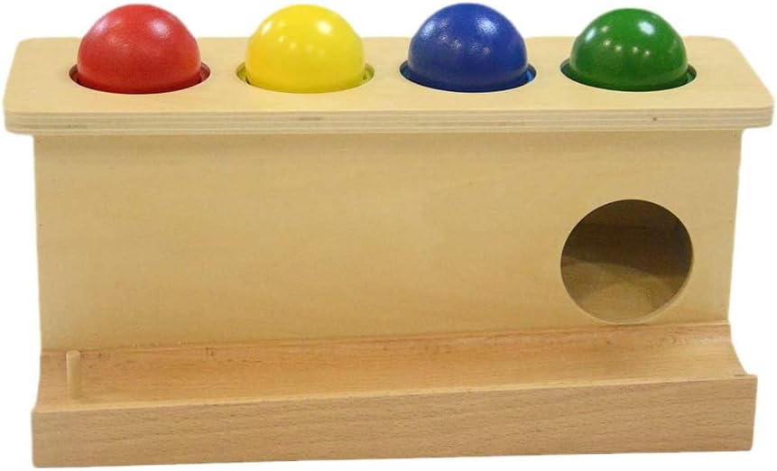 Montessori Wooden Push Ball Toy for Toddlers