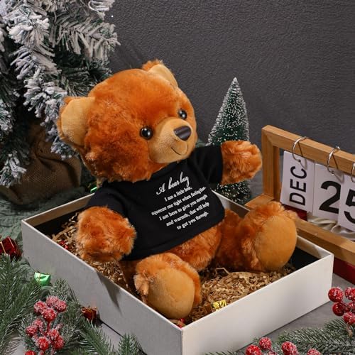 Meooeck Comfort Bear Plush Stuffed Animal Sympathy Gift