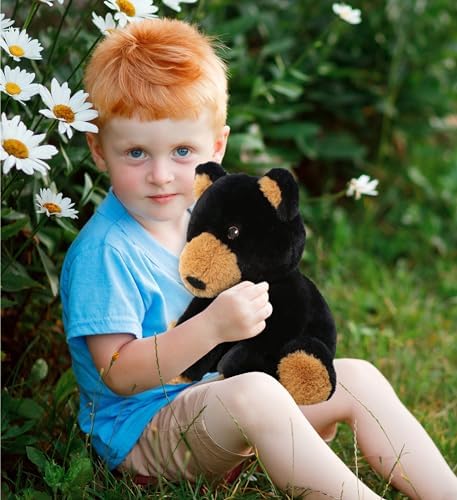 DolliBu Black Bear Plush Toy - 9 Inches Soft Huggable