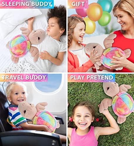DolliBu Rainbow Pink Sea Turtle Plush Toy