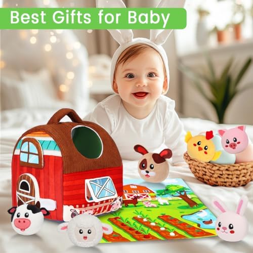 Montessori Barn Toy for Babies 6-12 Months