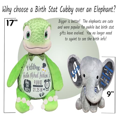 Baby Birth Stats Plush - Green Dinosaur