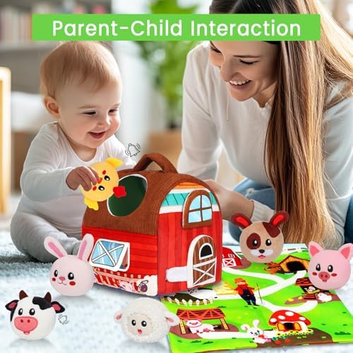 Montessori Barn Toy for Babies 6-12 Months