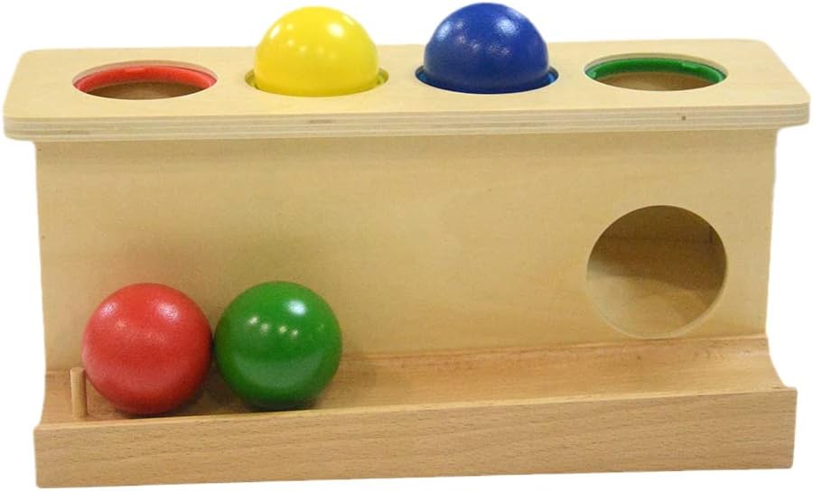 Montessori Wooden Push Ball Toy for Toddlers