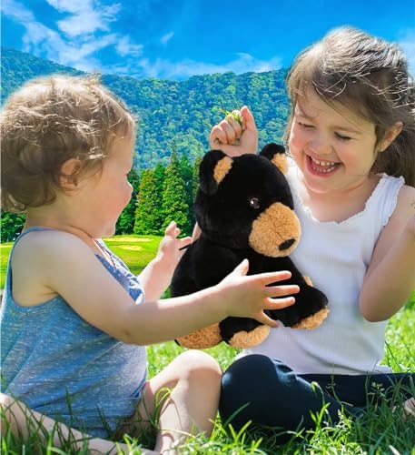 DolliBu Black Bear Plush Toy - 9 Inches Soft Huggable