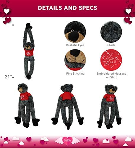DolliBu I Love You Valentine Black Bear Plush - 21 Inches 1