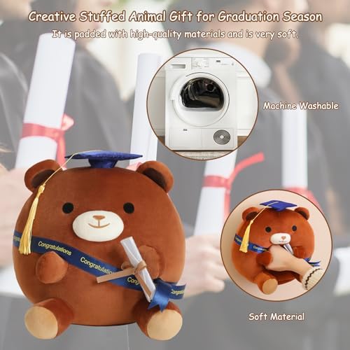 Brown Bear Plushie with Cap and Diploma 10 Inch