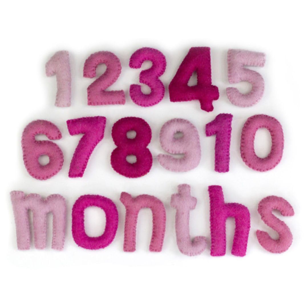 Matthew Mae Monthly Milestone Felt Number Set 0-9 PINK