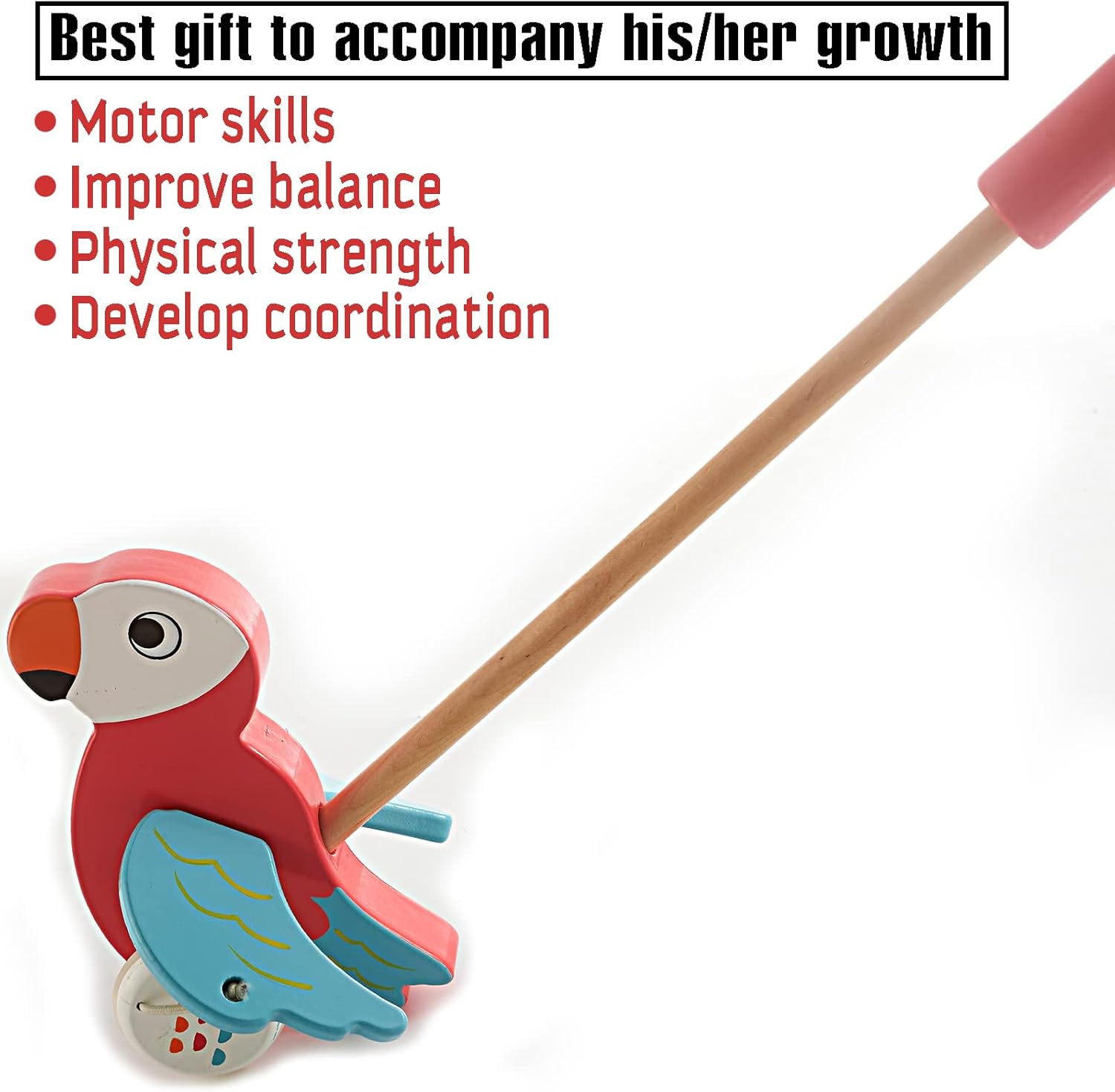 RUYU Parrot Wooden Push Pull Toy for Toddlers