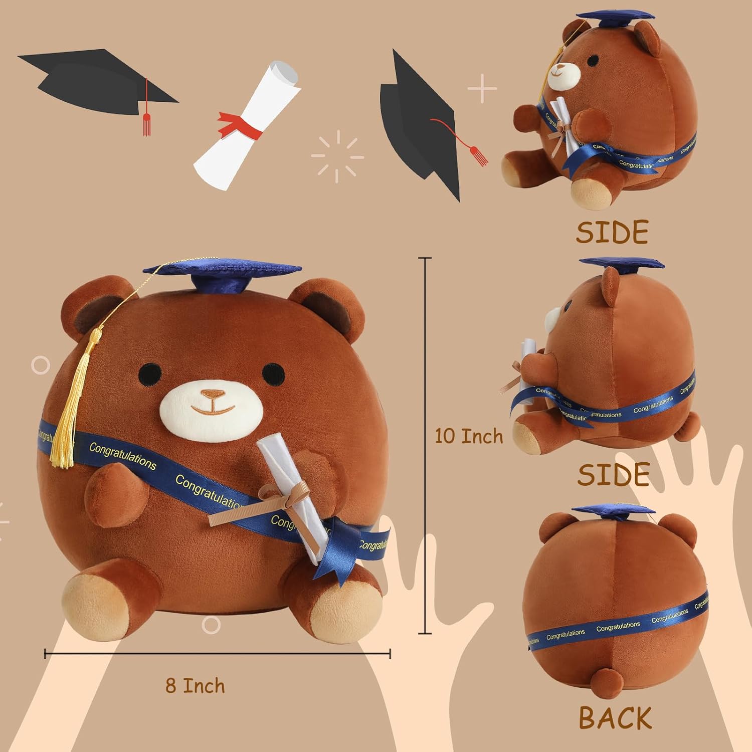 Brown Bear Plushie with Cap and Diploma 10 Inch