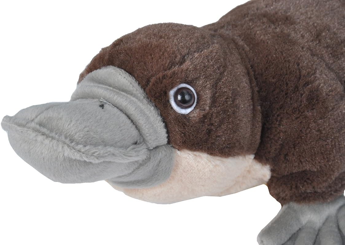 Wild Republic Platypus Plush 12 Inches Cuddlekins