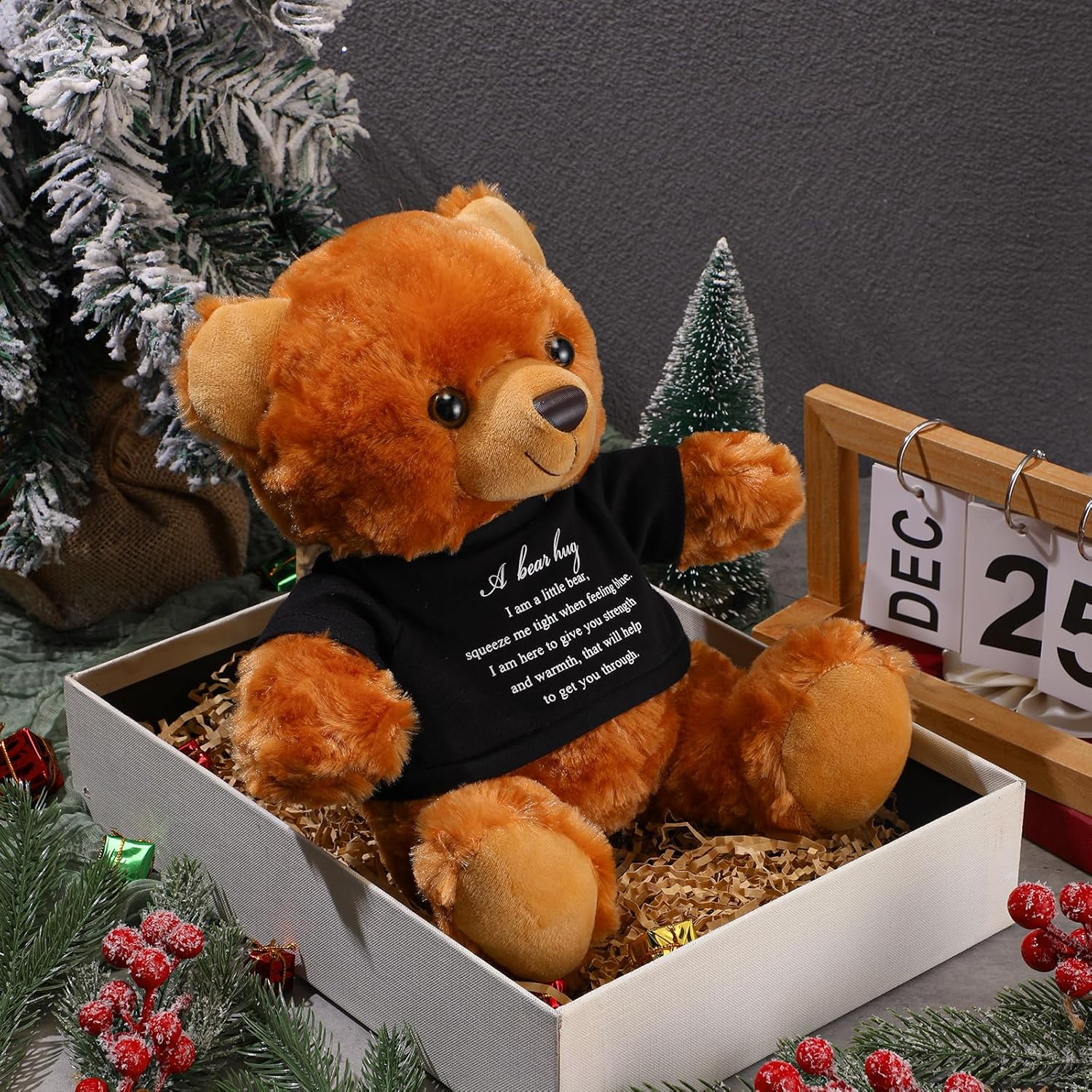 Meooeck Comfort Bear Plush Stuffed Animal Sympathy Gift
