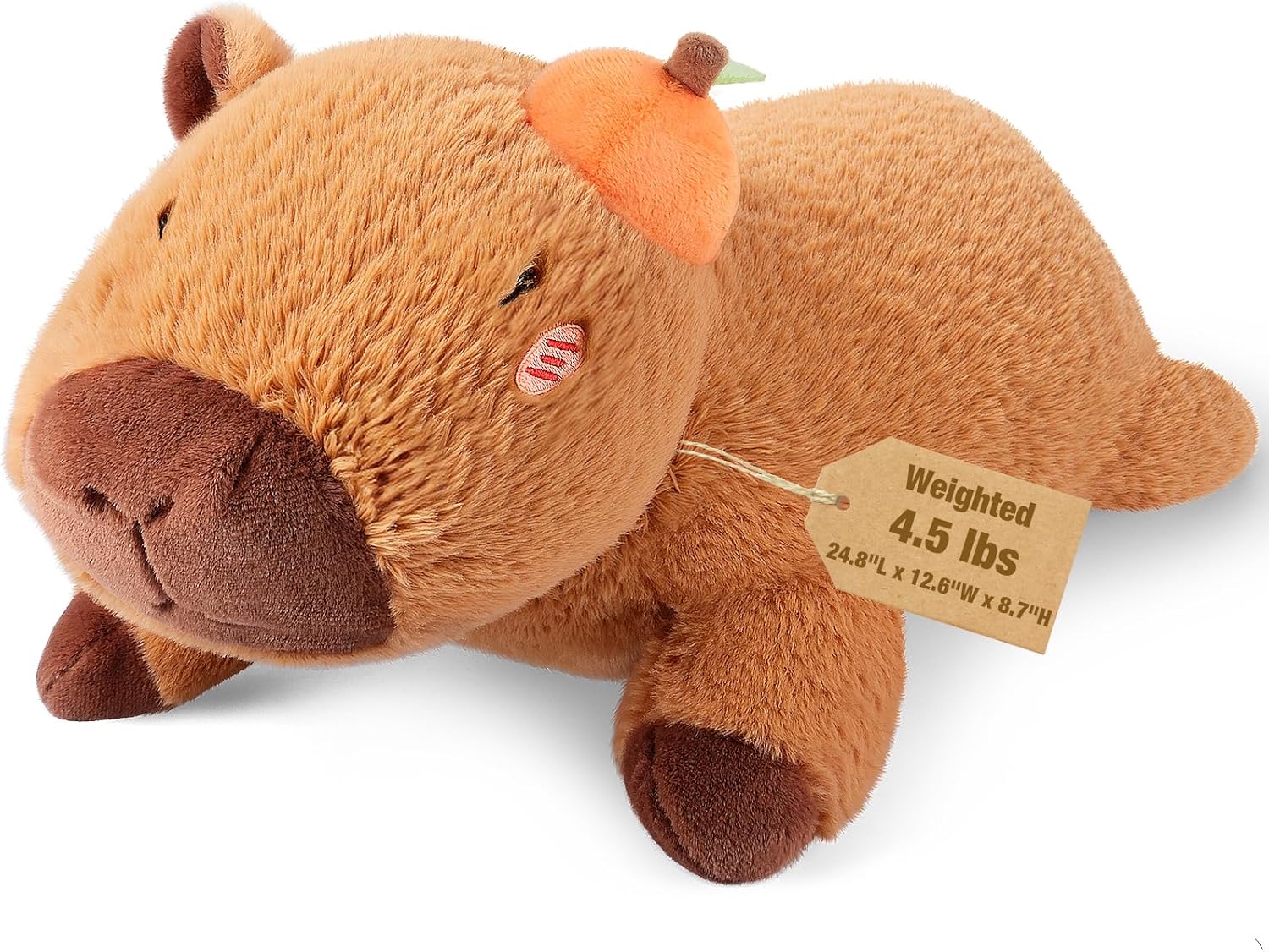 Bobbie Laxi 25 Inch 45 Lb Weighted Capybara Plush Toy